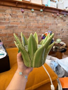 Scentsy Green Ceramic Succulent wax melter